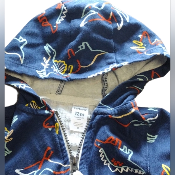 BOGO: Dinosaur Zipper Hoodie - Picture 3 of 3